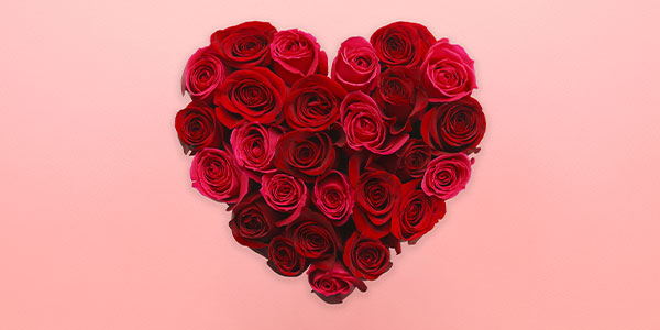 Valentines Day Sale - Feel the Love… and the Speed